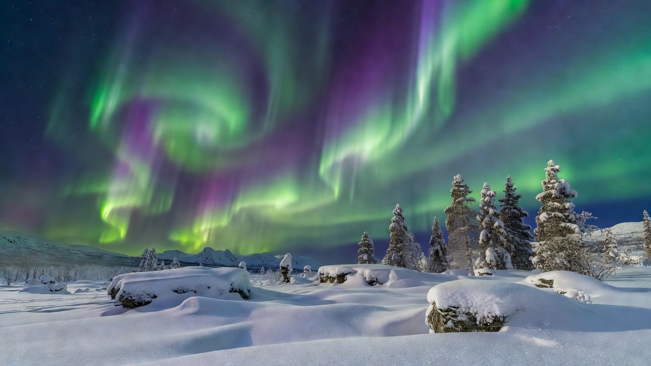 Northern lights aurora borealis glowing over quiet snowy Norwegian woodland